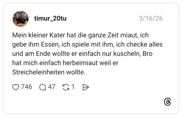 Mein kleiner Kater hat die ganze Zeit miaut, ich gebe ihm Essen, ich spiele mit ihm, ich checke alles und am Ende wollte er einfach nur kuscheln, Bro hat mich einfach herbeimiaut weil er Streicheleinheiten wollte.
