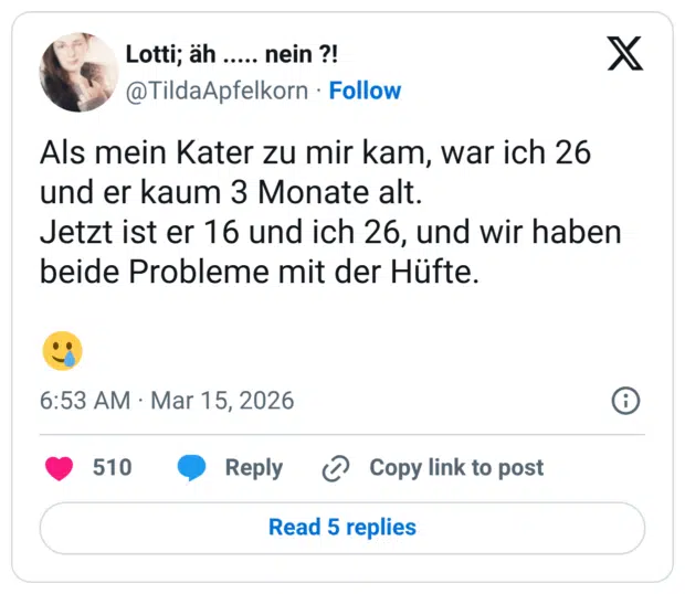 Als mein Kater zu mir kam, war ich 26 und er kaum 3 Monate alt. Jetzt ist er 16 und ich 26, und wir haben beide Probleme mit der Hüfte. 🥲