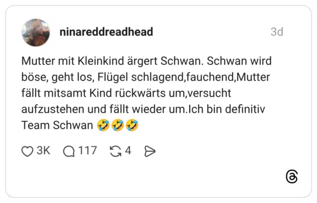 Mutter mit Kleinkind ärgert Schwan. Schwan wird böse, geht los, Flügel schlagend,fauchend,Mutter fällt mitsamt Kind rückwärts um,versucht aufzustehen und fällt wieder um.Ich bin definitiv Team Schwan