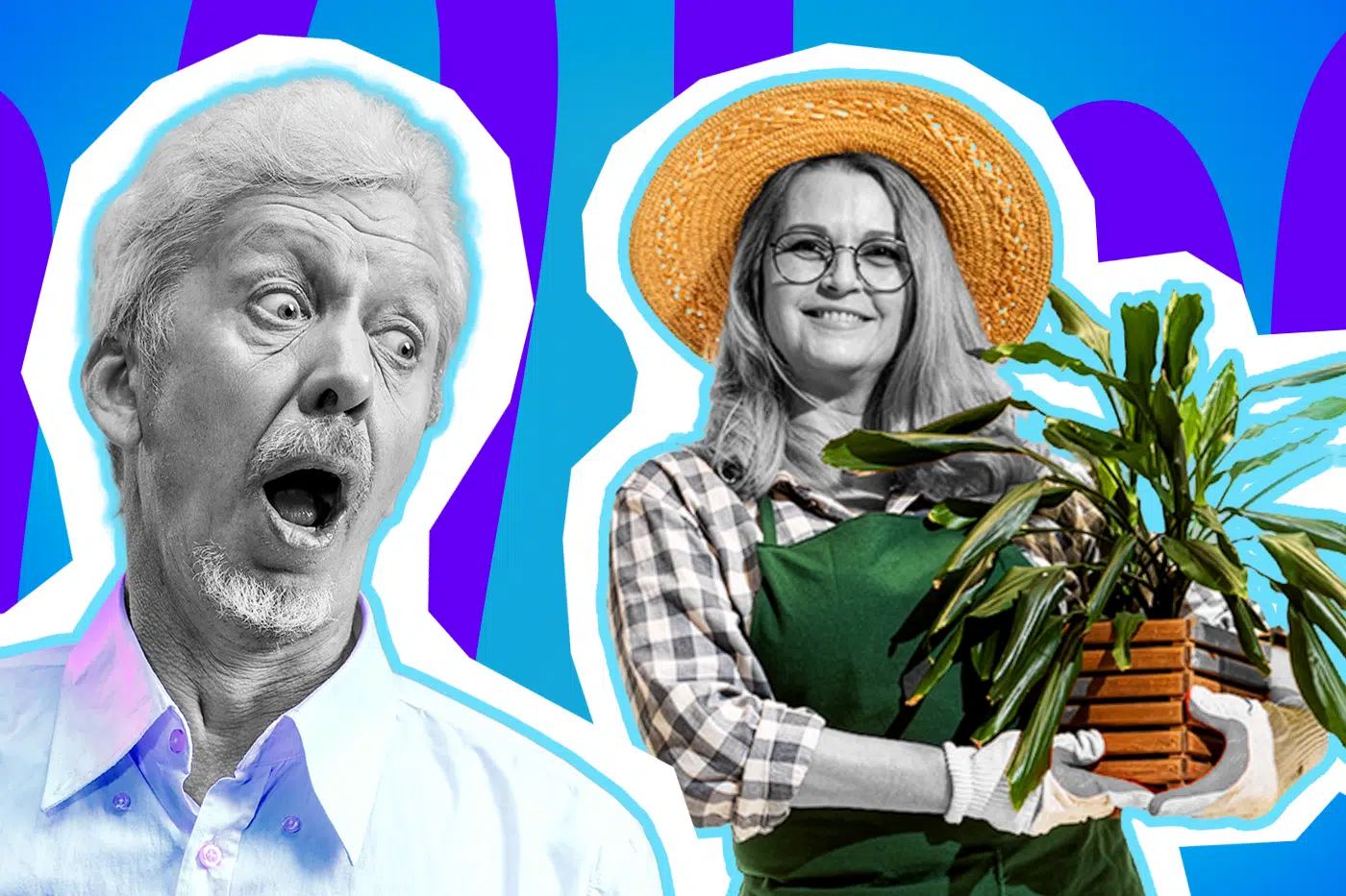 Humorvolle Collage zum Thema Gartenarbeit, Vorgärten und Nachbarschaft: Auf der linken Seite blickt ein älterer Mann in Schwarz-Weiß mit weit aufgerissenem Mund und großen Augen völlig schockiert (oder absolut beeindruckt) zur Seite. Sein Hemd sticht in einem leuchtenden Helllila farblich stark hervor. Auf der rechten Seite steht eine lächelnde Frau in Schwarz-Weiß, die stolz einen großen Holz-Pflanzkasten mit üppigen, tiefgrünen Blättern in den Händen hält. Sie trägt einen leuchtend orangegelben Strohhut und eine knallgrüne Gartenschürze. Das Pop-Art-Motiv vor einem markanten blau-violetten Wellen-Hintergrund visualisiert pointiert den nachbarschaftlichen Kontrast zwischen tristen Steinwüsten und blühender Artenvielfalt sowie den Moment, wenn der liebe Nachbar fassungslos den eigenen, grünen Daumen bewundert.