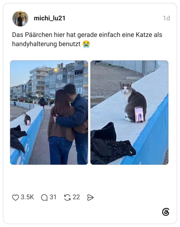 Das Päärchen hier hat gerade einfach eine Katze als handyhalterung benutzt 😭