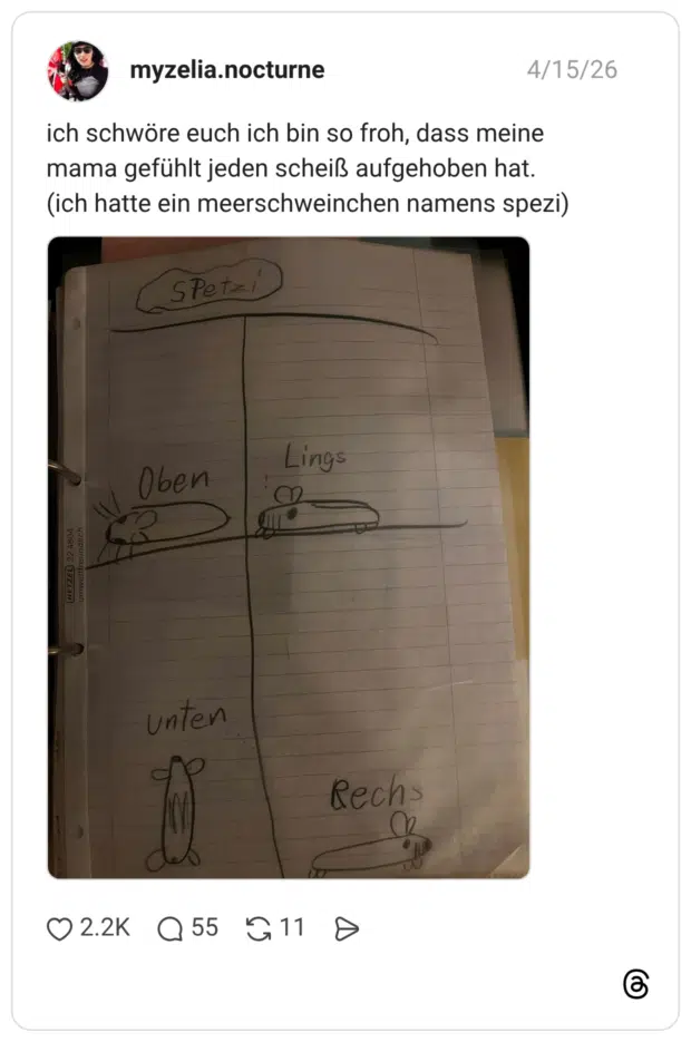 ich schwöre euch ich bin so froh, dass meine mama gefühlt jeden scheiß aufgehoben hat. (ich hatte ein meerschweinchen namens spezi)