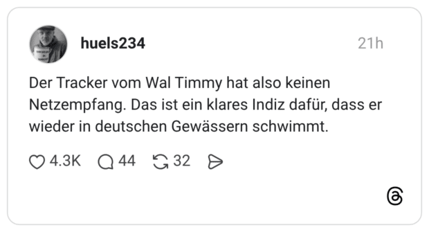 Der Tracker vom Wal Timmy hat also keinen Netzempfang. Das ist ein klares Indiz dafür, dass er wieder in deutschen Gewässern schwimmt.
