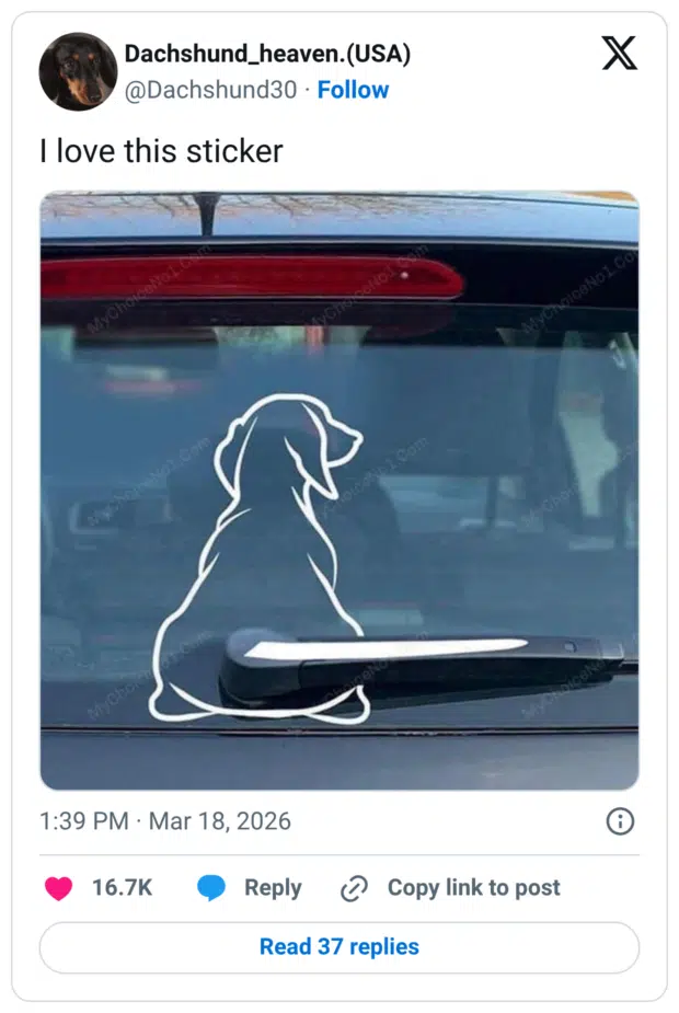 I love this sticker