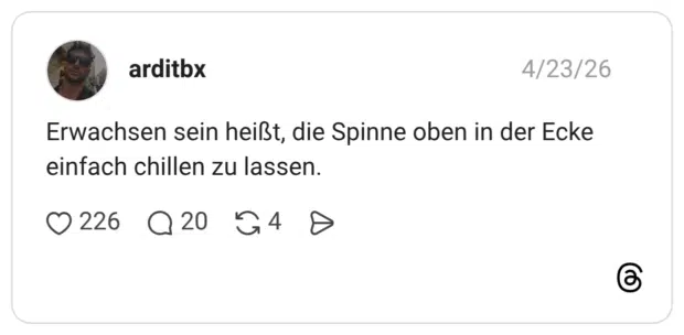 Erwachsen sein heißt, die Spinne oben in der Ecke einfach chillen zu lassen.