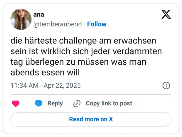 die härteste challenge am erwachsen sein ist wirklich sich jeder verdammten tag überlegen zu müssen was man abends essen will