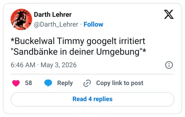 *Buckelwal Timmy googelt irritiert "Sandbänke in deiner Umgebung"*