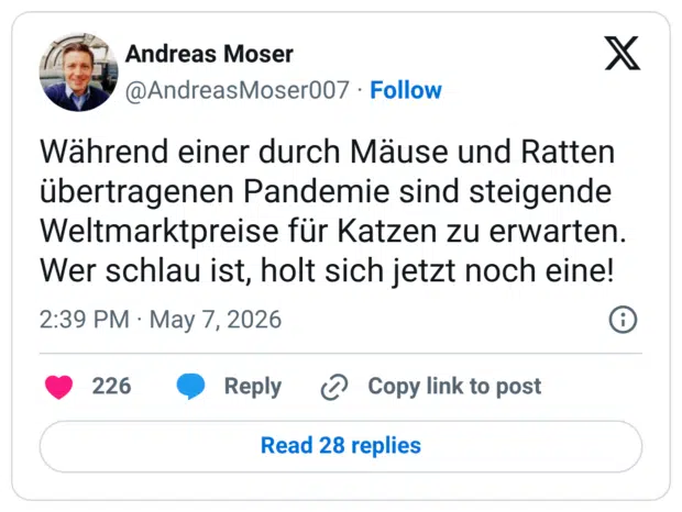 Während einer durch Mäuse und Ratten übertragenen Pandemie sind steigende Weltmarktpreise für Katzen zu erwarten. Wer schlau ist, holt sich jetzt noch eine!