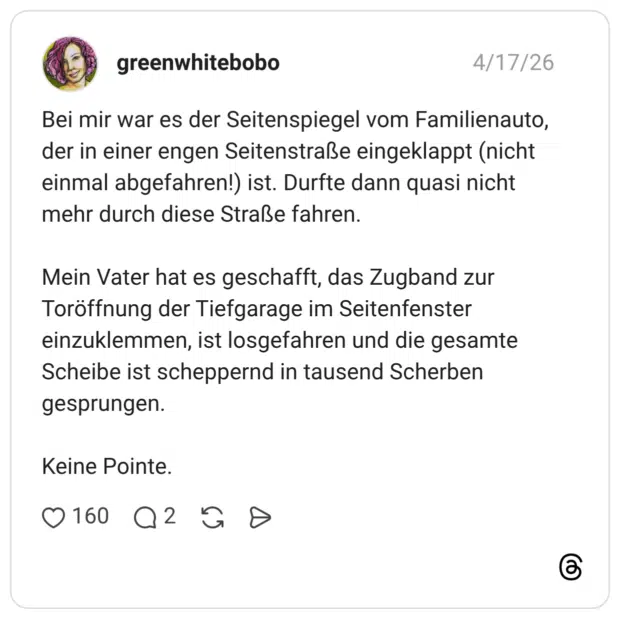 Bei mir war es der Seitenspiegel vom Familienauto, der in einer engen Seitenstraße eingeklappt (nicht einmal abgefahren!) ist. Durfte dann quasi nicht mehr durch diese Straße fahren. Mein Vater hat es geschafft, das Zugband zur Toröffnung der Tiefgarage im Seitenfenster einzuklemmen, ist losgefahren und die gesamte Scheibe ist scheppernd in tausend Scherben gesprungen. Keine Pointe.