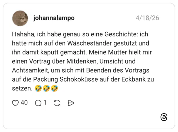 Hahaha, ich habe genau so eine Geschichte: ich hatte mich auf den Wäscheständer gestützt und ihn damit kaputt gemacht. Meine Mutter hielt mir einen Vortrag über Mitdenken, Umsicht und Achtsamkeit, um sich mit Beenden des Vortrags auf die Packung Schokoküsse auf der Eckbank zu setzen.