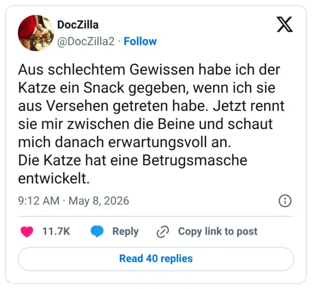 Aus schlechtem Gewissen habe ich der Katze ein Snack gegeben, wenn ich sie aus Versehen getreten habe. Jetzt rennt sie mir zwischen die Beine und schaut mich danach erwartungsvoll an. Die Katze hat eine Betrugsmasche entwickelt.