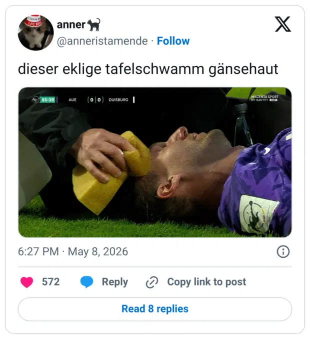 dieser eklige tafelschwamm gänsehaut