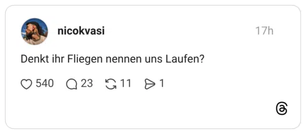 Denkt ihr Fliegen nennen uns Laufen?