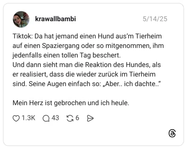 Tiktok: Da hat jemand einen Hund aus'm Tierheim auf einen Spaziergang oder so mitgenommen, ihm jedenfalls einen tollen Tag beschert. Und dann sieht man die Reaktion des Hundes, als er realisiert, dass die wieder zurück im Tierheim sind. Seine Augen einfach so: „Aber.. ich dachte.. Mein Herz ist gebrochen und ich heule.