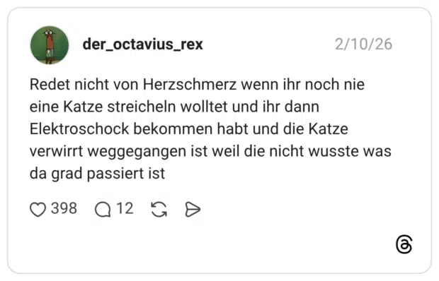 Redet nicht von Herzschmerz wenn ihr noch nie eine Katze streicheln wolltet und ihr dann Elektroschock bekommen habt und die Katze verwirrt weggegangen ist weil die nicht wusste was da grad passiert ist