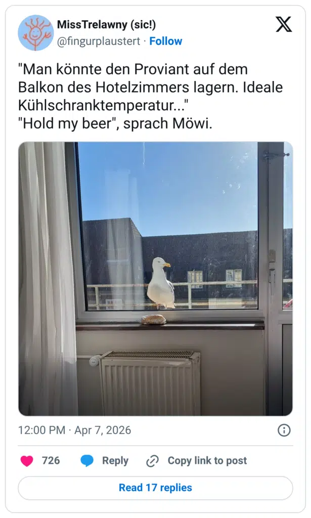 "Man könnte den Proviant auf dem Balkon des Hotelzimmers lagern. Ideale Kühlschranktemperatur..." "Hold my beer", sprach Möwi.