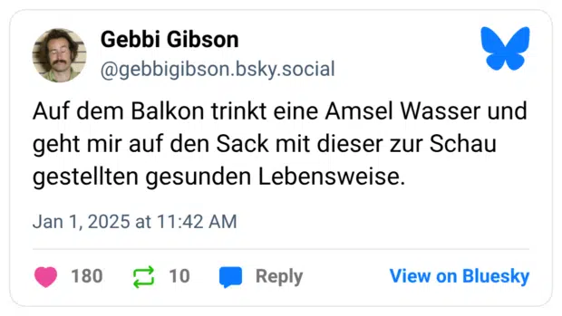 Auf dem Balkon trinkt eine Amsel Wasser und geht mir auf den Sack mit dieser zur Schau gestellten gesunden Lebensweise.