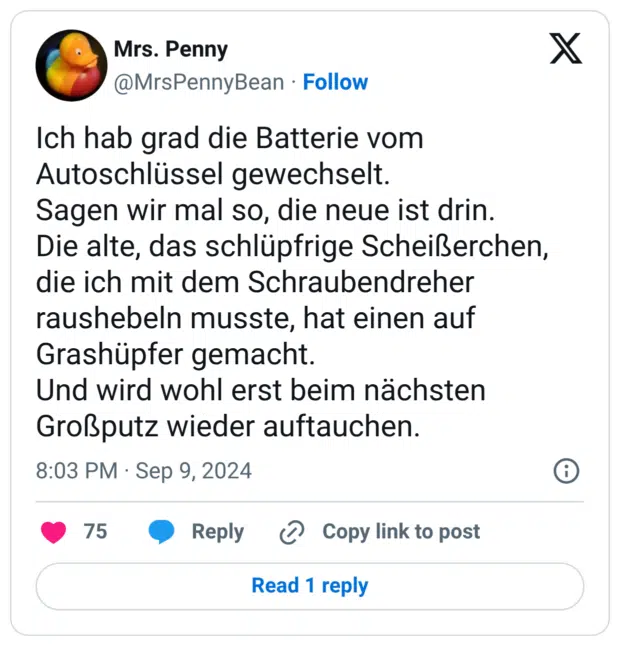 Ich hab grad die Batterie vom Autoschlüssel gewechselt. Sagen wir mal so, die neue ist drin. Die alte, das schlüpfrige Scheißerchen, die ich mit dem Schraubendreher raushebeln musste, hat einen auf Grashüpfer gemacht. Und wird wohl erst beim nächsten Großputz wieder auftauchen.