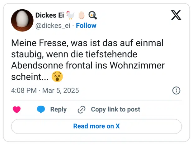 Meine Fresse, was ist das auf einmal staubig, wenn die tiefstehende Abendsonne frontal ins Wohnzimmer scheint... 😵
