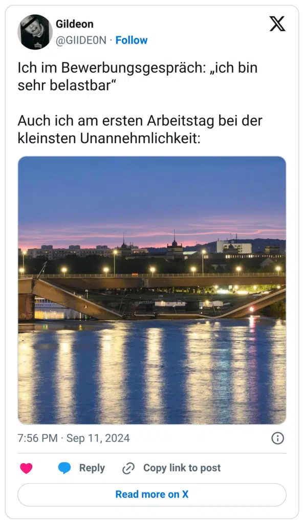 Ich im Bewerbungsgespräch: „ich bin sehr belastbar“ Auch ich am ersten Arbeitstag bei der kleinsten Unannehmlichkeit: