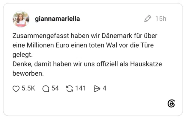 Zusammengefasst haben wir Dänemark für über eine Millionen Euro einen toten Wal vor die Türe gelegt. Denke, damit haben wir uns offiziell als Hauskatze beworben.