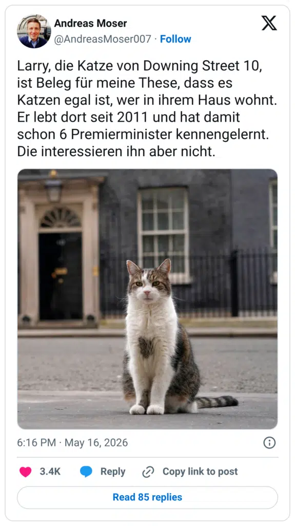 Larry, die Katze von Downing Street 10, ist Beleg für meine These, dass es Katzen egal ist, wer in ihrem Haus wohnt. Er lebt dort seit 2011 und hat damit schon 6 Premierminister kennengelernt. Die interessieren ihn aber nicht.