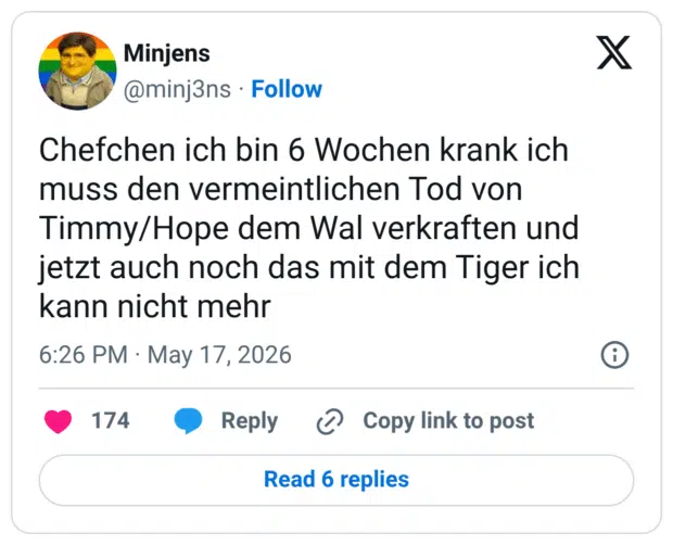 Chefchen ich bin 6 Wochen krank ich muss den vermeintlichen Tod von Timmy/Hope dem Wal verkraften und jetzt auch noch das mit dem Tiger ich kann nicht mehr