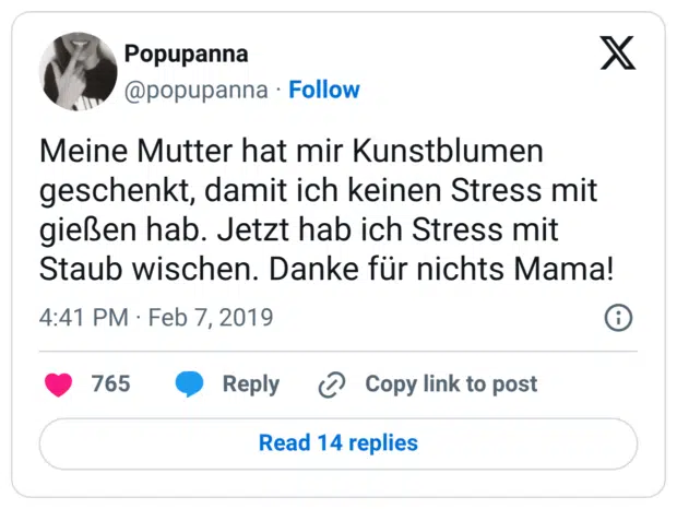 Meine Mutter hat mir Kunstblumen geschenkt, damit ich keinen Stress mit gießen hab. Jetzt hab ich Stress mit Staub wischen. Danke für nichts Mama!