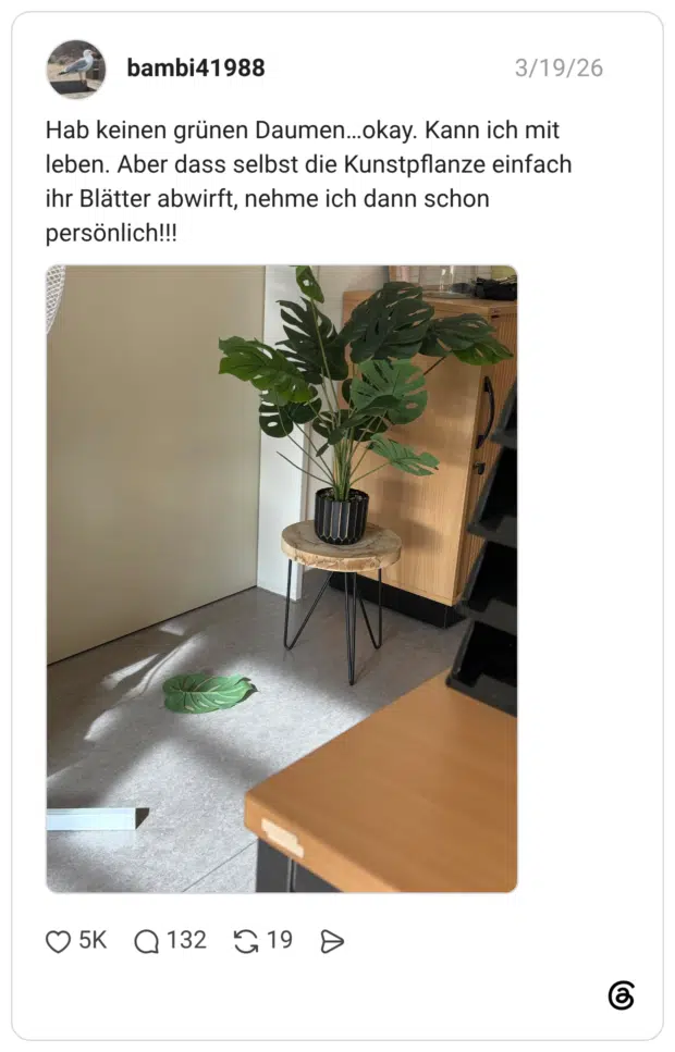 Hab keinen grünen Daumen…okay. Kann ich mit leben. Aber dass selbst die Kunstpflanze einfach ihr Blätter abwirft, nehme ich dann schon persönlich!!!
