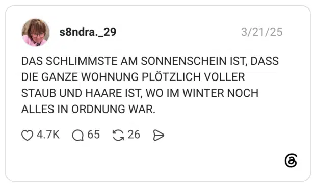 DAS SCHLIMMSTE AM SONNENSCHEIN IST, DASS DIE GANZE WOHNUNG PLÖTZLICH VOLLER STAUB UND HAARE IST, WO IM WINTER NOCH ALLES IN ORDNUNG WAR.
