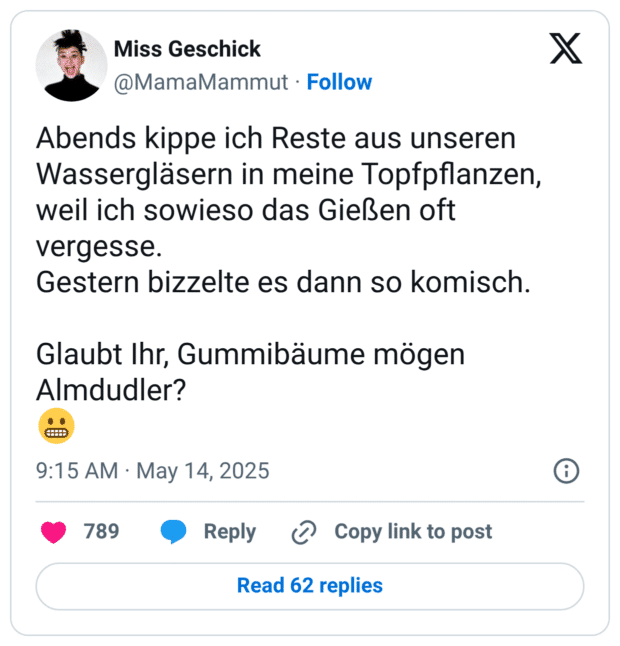 Abends kippe ich Reste aus unseren Wassergläsern in meine Topfpflanzen, weil ich sowieso das Gießen oft vergesse. Gestern bizzelte es dann so komisch. Glaubt Ihr, Gummibäume mögen Almdudler? 😬