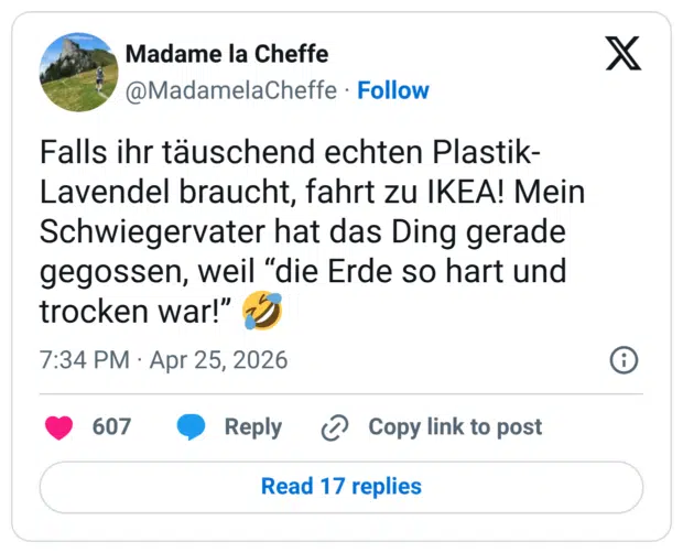 Falls ihr täuschend echten Plastik-Lavendel braucht, fahrt zu IKEA! Mein Schwiegervater hat das Ding gerade gegossen, weil “die Erde so hart und trocken war!” 🤣