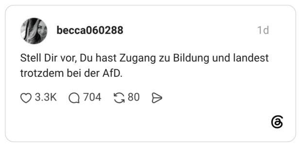 Stell Dir vor, Du hast Zugang zu Bildung und landest trotzdem bei der AfD.