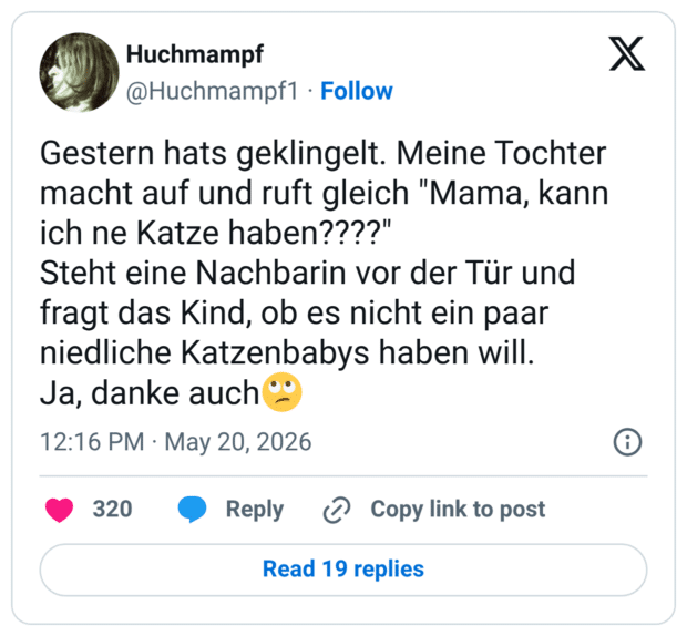 Gestern hats geklingelt. Meine Tochter macht auf und ruft gleich "Mama, kann ich ne Katze haben????" Steht eine Nachbarin vor der Tür und fragt das Kind, ob es nicht ein paar niedliche Katzenbabys haben will. Ja, danke auch