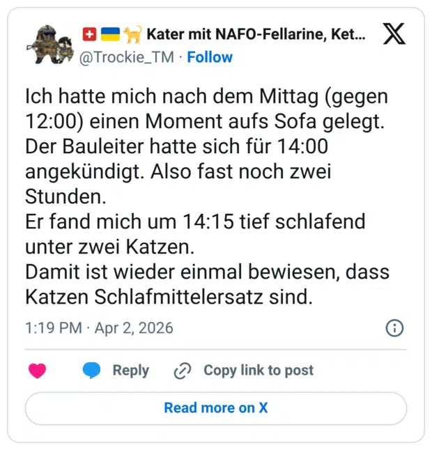 Ich hatte mich nach dem Mittag (gegen 12:00) einen Moment aufs Sofa gelegt. Der Bauleiter hatte sich für 14:00 angekündigt. Also fast noch zwei Stunden. Er fand mich um 14:15 tief schlafend unter zwei Katzen. Damit ist wieder einmal bewiesen, dass Katzen Schlafmittelersatz sind.