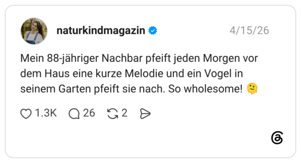 Mein 88-jähriger Nachbar pfeift jeden Morgen vor dem Haus eine kurze Melodie und ein Vogel in seinem Garten pfeift sie nach. So wholesome!
