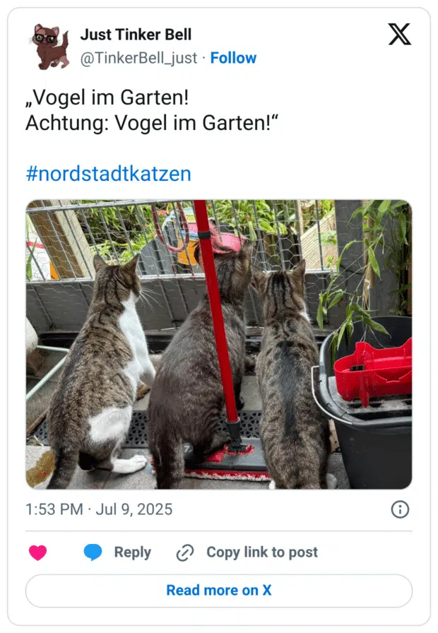 „Vogel im Garten! Achtung: Vogel im Garten!“