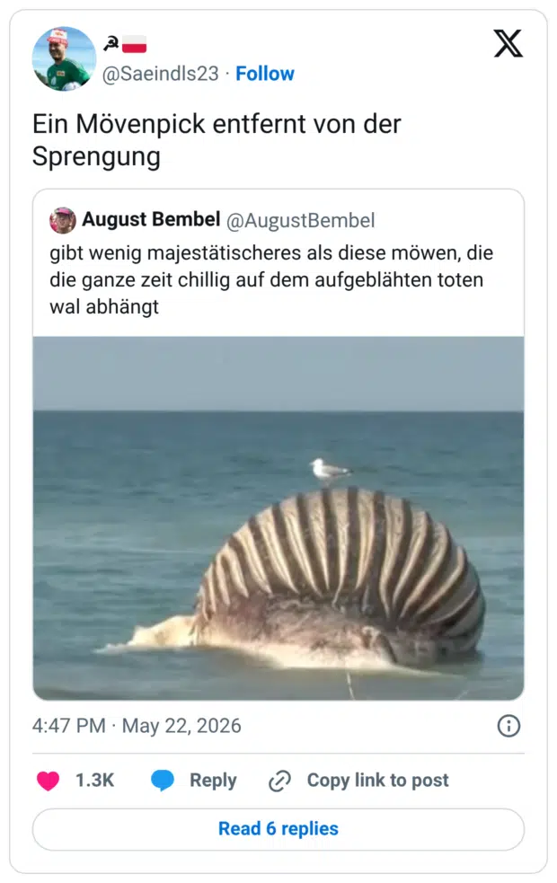 Ein Mövenpick entfernt von der Sprengung