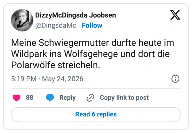 Meine Schwiegermutter durfte heute im Wildpark ins Wolfsgehege und dort die Polarwölfe streicheln.