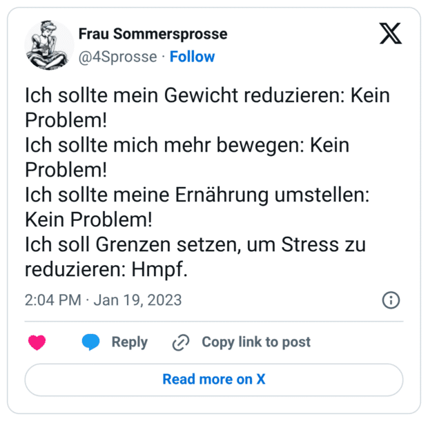 Ich sollte mein Gewicht reduzieren: Kein Problem! Ich sollte mich mehr bewegen: Kein Problem! Ich sollte meine Ernährung umstellen: Kein Problem! Ich soll Grenzen setzen, um Stress zu reduzieren: Hmpf.