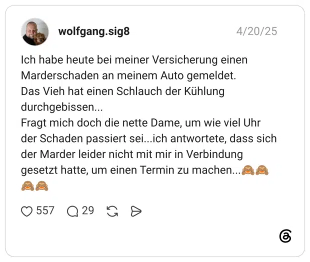 Ich habe heute bei meiner Versicherung einen Marderschaden an meinem Auto gemeldet. Das Vieh hat einen Schlauch der Kühlung durchgebissen... Fragt mich doch die nette Dame, um wie viel Uhr der Schaden passiert sei...ich antwortete, dass sich der Marder leider nicht mit mir in Verbindung gesetzt hatte, um einen Termin zu machen...🙈🙈🙈🙈