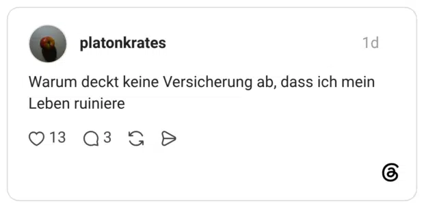 Warum deckt keine Versicherung ab, dass ich mein Leben ruiniere