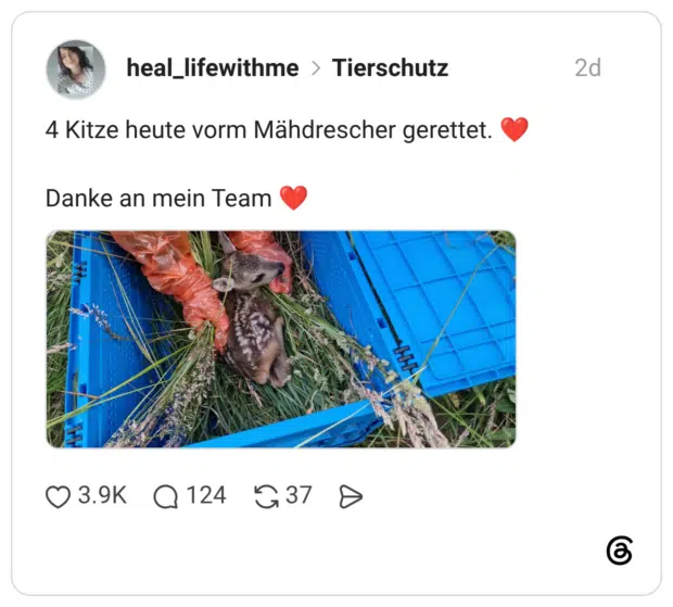 4 Kitze heute vorm Mähdrescher gerettet. ❤️ Danke an mein Team ❤️ 1 / 3