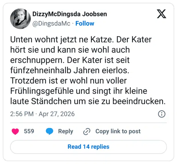 Unten wohnt jetzt ne Katze. Der Kater hört sie und kann sie wohl auch erschnuppern. Der Kater ist seit fünfzehneinhalb Jahren eierlos. Trotzdem ist er wohl nun voller Frühlingsgefühle und singt ihr kleine laute Ständchen um sie zu beeindrucken.
