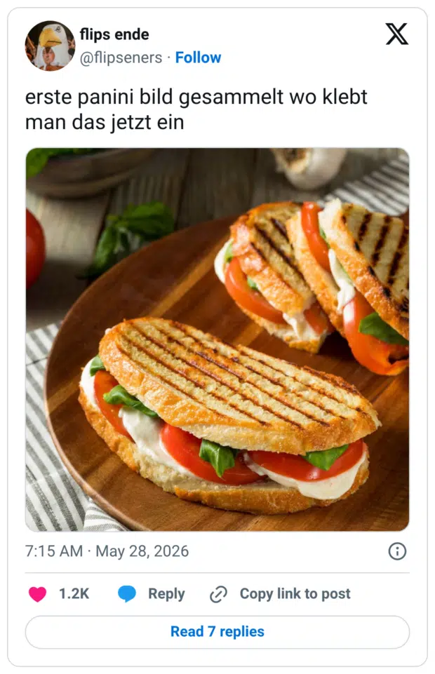 erste panini bild gesammelt wo klebt man das jetzt ein