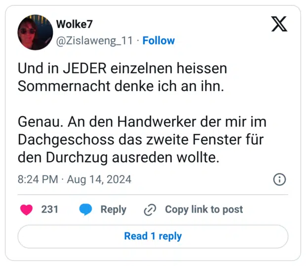 Und in JEDER einzelnen heissen Sommernacht denke ich an ihn. Genau. An den Handwerker der mir im Dachgeschoss das zweite Fenster für den Durchzug ausreden wollte.