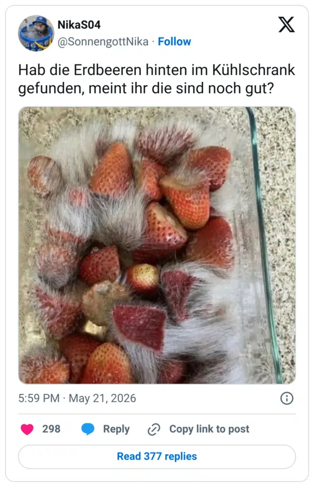 Hab die Erdbeeren hinten im Kühlschrank gefunden, meint ihr die sind noch gut?
