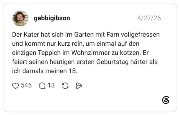 Der Kater hat sich im Garten mit Farn vollgefressen und kommt nur kurz rein, um einmal auf den einzigen Teppich im Wohnzimmer zu kotzen. Er feiert seinen heutigen ersten Geburtstag härter als ich damals meinen 18.