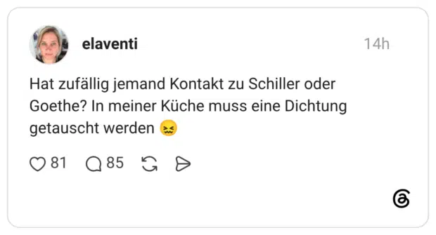 Hat zufällig jemand Kontakt zu Schiller oder Goethe? In meiner Küche muss eine Dichtung getauscht werden 😖