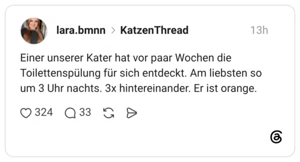 Einer unserer Kater hat vor paar Wochen die Toilettenspülung für sich entdeckt. Am liebsten so um 3 Uhr nachts. 3x hintereinander. Er ist orange.